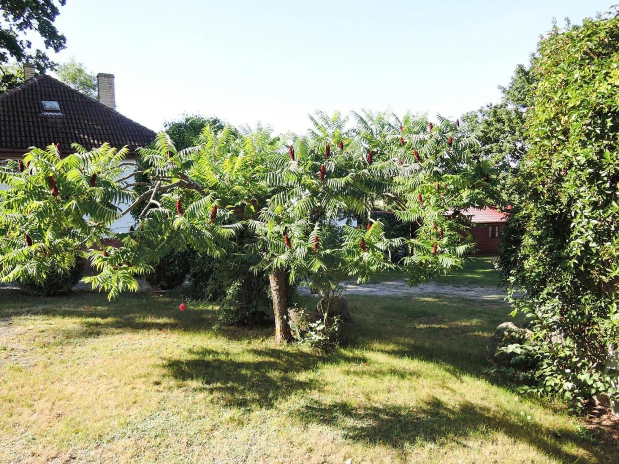Bungalow In Lubin At 300 M From The Lake Εξωτερικό φωτογραφία